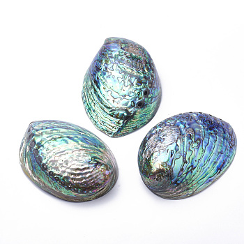 Natural Paua Shell Beads, 100~120x80~90x30~40mm, Hole: 2~6mm