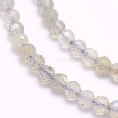 Natural Labradorite Beads Strands(G-F509-03-3mm)-3