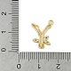 Brass Crystal Rhinestone Letter Links Connector Charms(KK-S395-06G-Y)-3