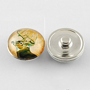 Brass Jewelry Snap Buttons, with Glass Cabochons, Flat Round, Goldenrod, 18x10mm, Knob: 5mm(X-GLAA-S029-29)