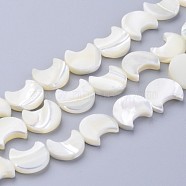 Natural White Shell Beads Strands, Mother of Pearl Shell Beads, Moon, White, about 11mm wide, 12mm long, 3mm thick, hole: 1mm, 34 pcs/strand, 16 inch(X-SSHEL-12X11)