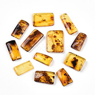 Natural Amber Pendants, Rectangle Charms, 18~26x9.5~18x3~5.5mm, Hole: 1.2mm(G-T140-18)