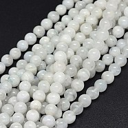 Natural Rainbow Moonstone Beads Strands, Round, 8mm, Hole: 0.8mm, about 48~50pcs/strand, 15.3~15.9 inch(39~40.5cm)(G-F602-03-8mm)