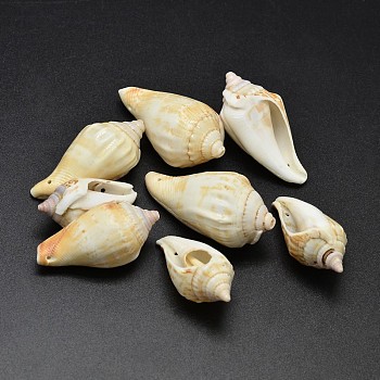Natural Conch Shell Beads, Pale Goldenrod, 31~50x17~25mm, Hole: 1.5mm, about 100pcs/500g