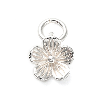 925 Sterling Silver 5-Petal Flower Charms, with Jump Rings and 925 Stamp, Silver, 11.5x7.5x2.5mm, Hole: 2.5mm