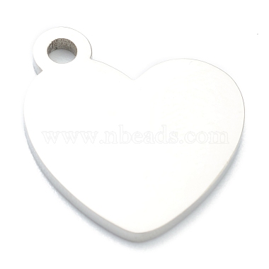 Non-Tarnish 304 Stainless Steel Pendants(STAS-B016-03P)-2