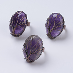 Natural Amethyst Adjustable Finger Ring, Wide Band Rings, Oval, Red Copper, Size 9, 19mm(RJEW-E436-03B)