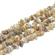 Natural Agate Beads Strands, Chip, 5~11x3~9x1~9mm, Hole: 1mm, about 200~300pcs/strand, 33.8 inch(G-S314-30)