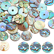 Natural Paua Shell/Abalone Shell Beads, Disc/Flat Round, Heishi Beads, Colorful, 10x1mm, Hole: 1mm, about 40pcs/box(SSHEL-GA0001-04)