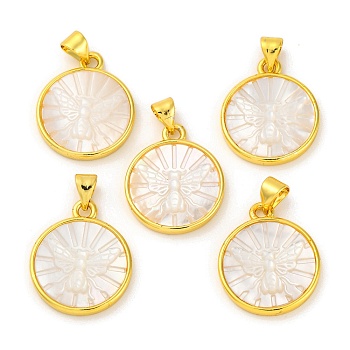 Natural White Shell Carved Moth Pendants, Rack Plating Brass Flat Round Charms, Golden, 20x17x3mm, Hole: 3.5x5mm