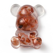 Resin Display Decorations, with Natural Red Agate/Carnelian Chips Inside, Bear, 53.5~53.8x41~41.5x17.5~21mm(DJEW-H001-B17)