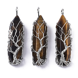 Natural Tiger Eye Big Wire Wrapped Pendants, with Brass Wires, prismatic with Tree of Life, Platinum, 48~62x14~17x13~18mm, Hole: 4x5~6mm(G-T133-P02B)