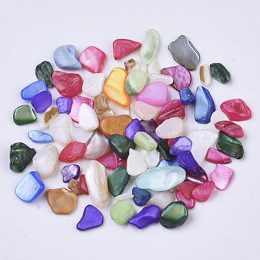 Natural Freshwater Shell Beads(X-SHEL-N003-03)-2