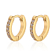 Stainless Steel Stud Earrings with Cubic Zirconia for Women(EW0566-1)-1