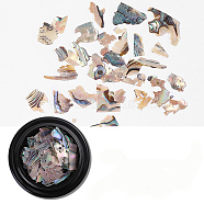 Abalone Shell/Paua ShellChips, For False Acrylic & UV Gel Nail, Nail Flakies Decoration, Colorful, 4cm, 2g/box(MRMJ-Q034-012C)