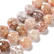 Natural Cherry Blossom Agate Beads Strands, with Seed Beads, Faceted Hexagonal Cut, Flat Round, 12~12.5x5~6mm, Hole: 1.2~1.4mm, about 27~29pcs/strand, 15.55~15.75 inck(39.5~40cm)(G-NH0004-024)