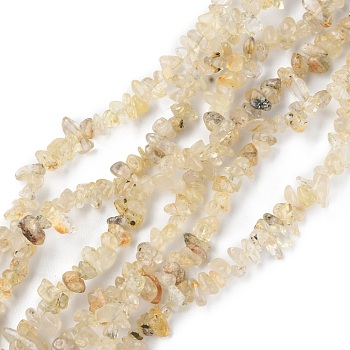 Natural Gold Rutilated Quartz Beads Strands, Chip, 1.5~4.5x3~13x2.5~8mm, Hole: 0.6mm, 30.94~31.97 inch(78.6~81.2cm)