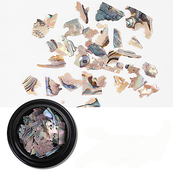 Abalone Shell/Paua ShellChips, For False Acrylic & UV Gel Nail, Nail Flakies Decoration, Colorful, 4cm, 2g/box