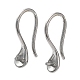 304 Stainless Steel Earring Hooks(STAS-M323-06P)-1