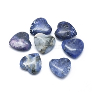 Natural Sodalite Beads, Half Drilled, Heart, 20~20.5x20~20.5x5~6mm, Hole: 1mm(G-F678-36)