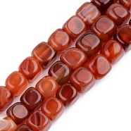 Natural Carnelian Beads Strands, Dyed, Square, FireBrick, 7x7x7mm, Hole: 1mm, about 30pcs/strand, 14.17 inch(36cm)(G-S359-134A)