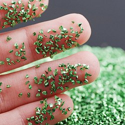 DIY Nail Art Decoration Mini Glass Beads, Tiny Caviar Nail Beads, Pale Green, 2~3mm, about 450g/bag(GLAA-WH0019-05B-17)