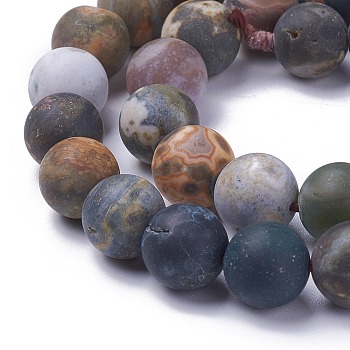Natural Ocean Agate/Ocean Jasper Beads Strands, Frosted, Round, 10mm, Hole: 1mm, about 38pcs/strand, 14.9 inch(38cm)