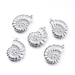 Non-Tarnish 304 Stainless Steel Pendants, Spiral Shell, Stainless Steel Color, 21x14.5x4.5mm, Hole: 0.9mm(STAS-F240-05P)