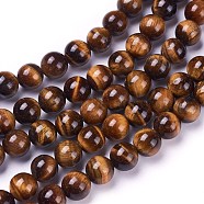 Round Tiger Eye Beads Strands, Grade AB+, Dark Goldenrod, 8mm, Hole: 1mm, about 48pcs/strand(X-Z0RQT012)