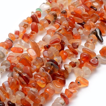 Natural Carnelian/Red Agate Beads Strands, Dyed & Heated, Chip, 5~8mm, Hole: 1mm, about 80~81cm