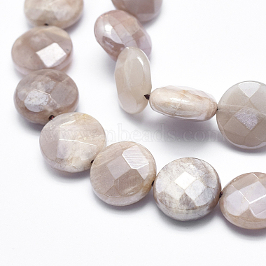 Electroplate Natural Sunstone Beads Strands(G-K256-20B)-3
