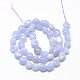 Natural Agate Beads Strands(X-G-R445-8x10-10)-2