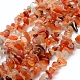 perles de cornaline naturelle / agate rouge(G-P332-34B)-1