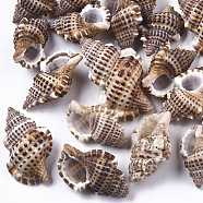 Natural Spiral Shell Beads, Undrilled/No Hole Beads, Saddle Brown, 27~44x18~30x12~21mm(SSHEL-S258-88)