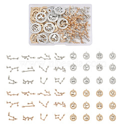Craftdady 4 Sets 4 Styles Zinc Alloy Jewelry Pendant, Twelve Constellations & Flat Round with Twelve Constellations, Platinum & Light Gold, Mixed Color, 1 set/style, 48pcs,12pcs/set(FIND-CD0001-09)