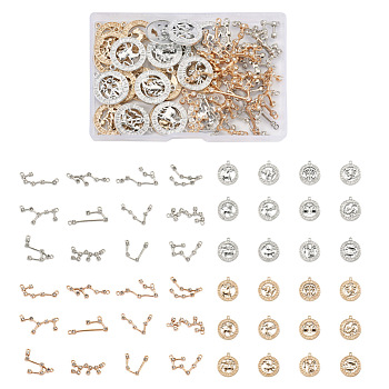 Craftdady 4 Sets 4 Styles Zinc Alloy Jewelry Pendant, Twelve Constellations & Flat Round with Twelve Constellations, Platinum & Light Gold, Mixed Color, 1 set/style, 48pcs,12pcs/set