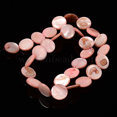 Natural Shell Beads Strands(PBB251Y-6)-2