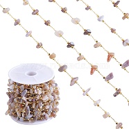 Natural Botswana Agate Chips Beaded Chains, with Golden Brass Findings, Long-Lasting Plated, Soldered, with Spool, 4~14x4~11x2~7mm, about 3.28 Feet(1m)/Box(CHC-SZ0001-62E)