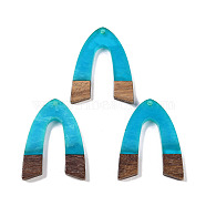 Resin & Wood Pendants, Arch Charms, Dodger Blue, 37.5x28.5x3.5mm, Hole: 2mm(WOOD-F015-16F)