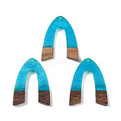 Resin & Wood Pendants, Arch Charms, Dodger Blue, 37.5x28.5x3.5mm, Hole: 2mm(WOOD-F015-16F)