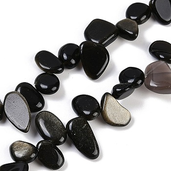 Natural Golden Sheen Obsidian Nuggets Beads Strands, 7.5~11.5x9~13x4~6.5mm, Hole: 0.8~1mm, about 62~68pcs/strand, 14.96~15.55''(38~39.5cm)