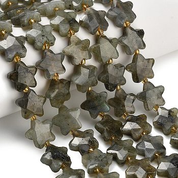 Natural Gray Labradorite Beads Strands, Star, Faceted, with Seed Beads, 14~14.5x14.5~15x6~6.5mm, Hole: 1~1.2mm, about 26pcs/strand, 14.96~15.63''(38~39.7cm)