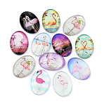 Flatback Glass Cabochons, for DIY Projects, Flamingo Pattern, Oval, Mixed Color, 25x18x5.5mm(X-GGLA-S034-25x18-025)