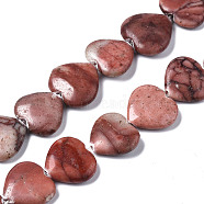 Natural Red Picture Jasper Beads Strands, Heart, 14~15x15~17x4~5mm, Hole: 0.6mm, about 20pcs/strand, 16.38 inch(41.6cm)(X-G-N0326-66)
