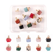 10Pcs 10 Style Electroplate Mixed Gemstone Charms, with Golden Iron Findings, Faceted, Star Cut Round, 1pc/style(G-LS0002-03)