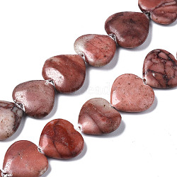 Natural Red Picture Jasper Beads Strands, Heart, 14~15x15~17x4~5mm, Hole: 0.6mm, about 20pcs/strand, 16.38 inch(41.6cm)(X-G-N0326-66)
