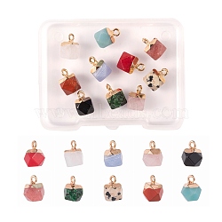 10Pcs 10 Style Electroplate Mixed Gemstone Charms, with Golden Iron Findings, Faceted, Star Cut Round, 1pc/style(G-LS0002-03)