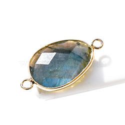 Natural Labradorite Connector Charms, Faceted Teardrop Links, Golden, 31x18mm(PW-WG32281-16)