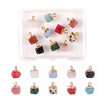 10Pcs 10 Style Electroplate Mixed Gemstone Charms, with Golden Iron Findings, Faceted, Star Cut Round, 1pc/style