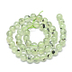 Natural Prehnite Beads Strands(G-R446-10mm-16)-2